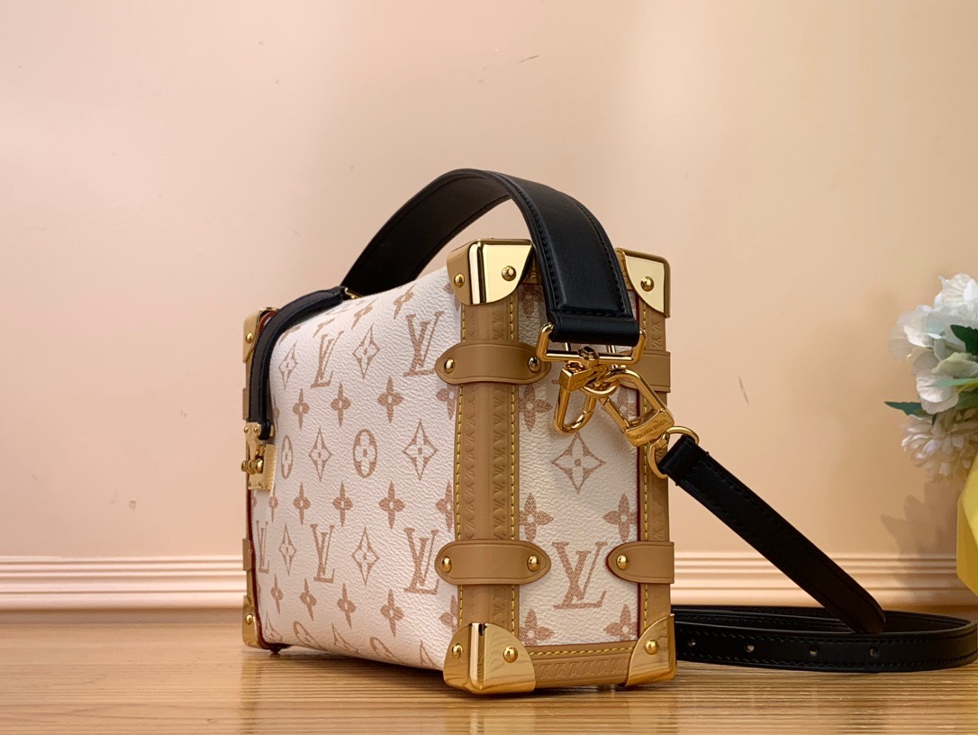 LOUIS VUITTON M46907 Side Trunk MM