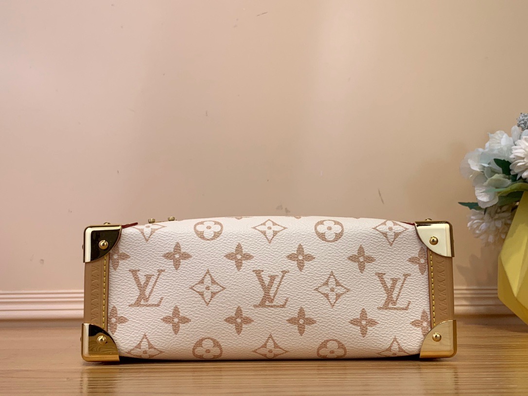 LOUIS VUITTON M46907 Side Trunk MM