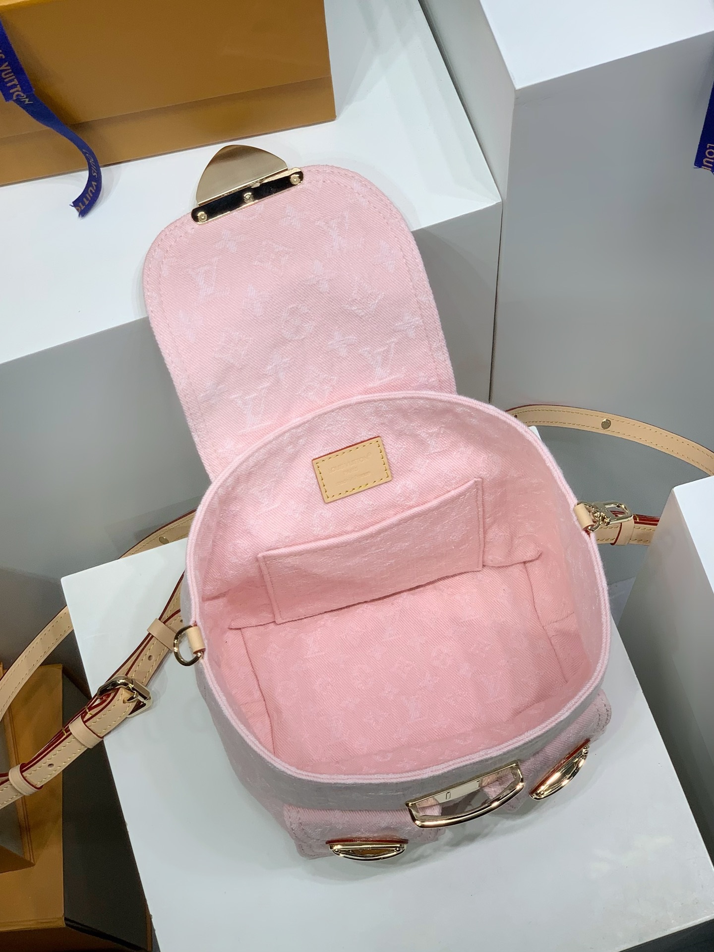 LOUIS VUITTON M13031 Venice Backpack
